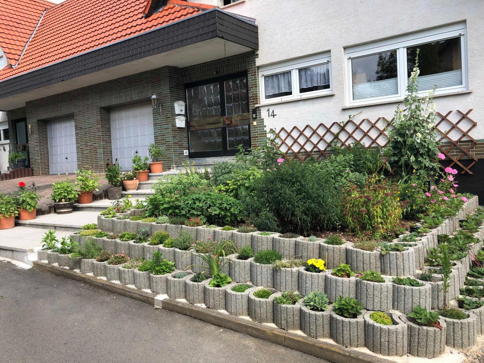 Ferienwohnung Domes-Kreuzer Bad Zwesten Exterior photo